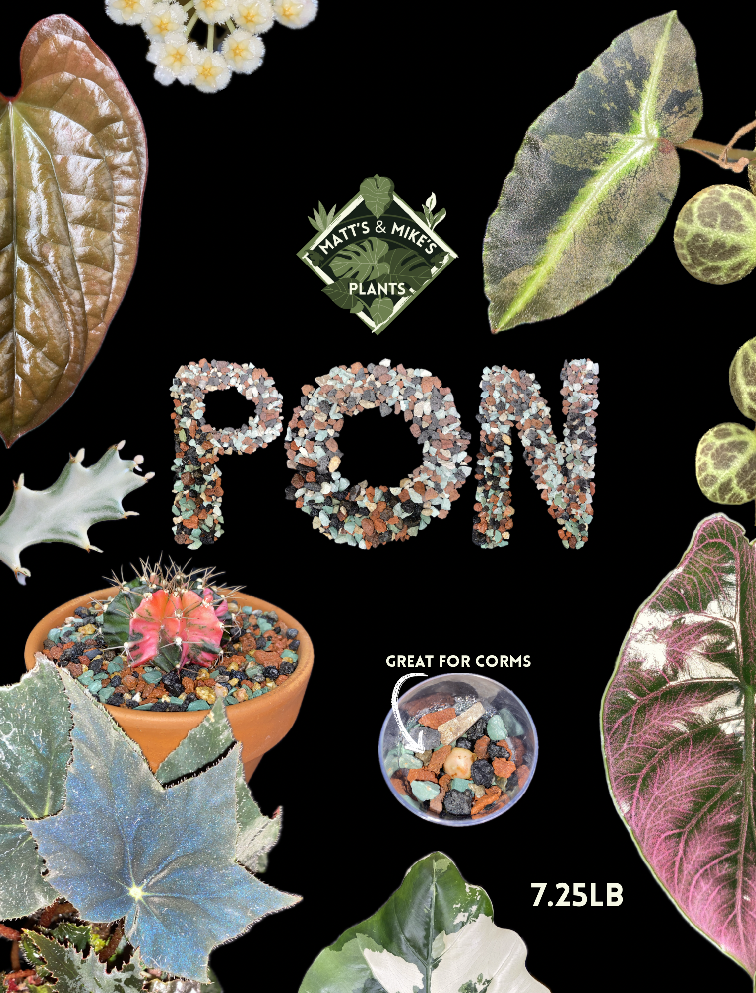 PON for Houseplants in Semi-Hydro 1 Gal. 7lb/112oz