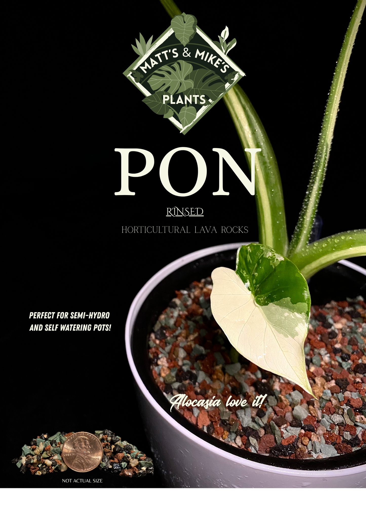PON for Houseplants in Semi-Hydro 8.48lb/136oz - Prerinsed Horticultural Lava Rocks