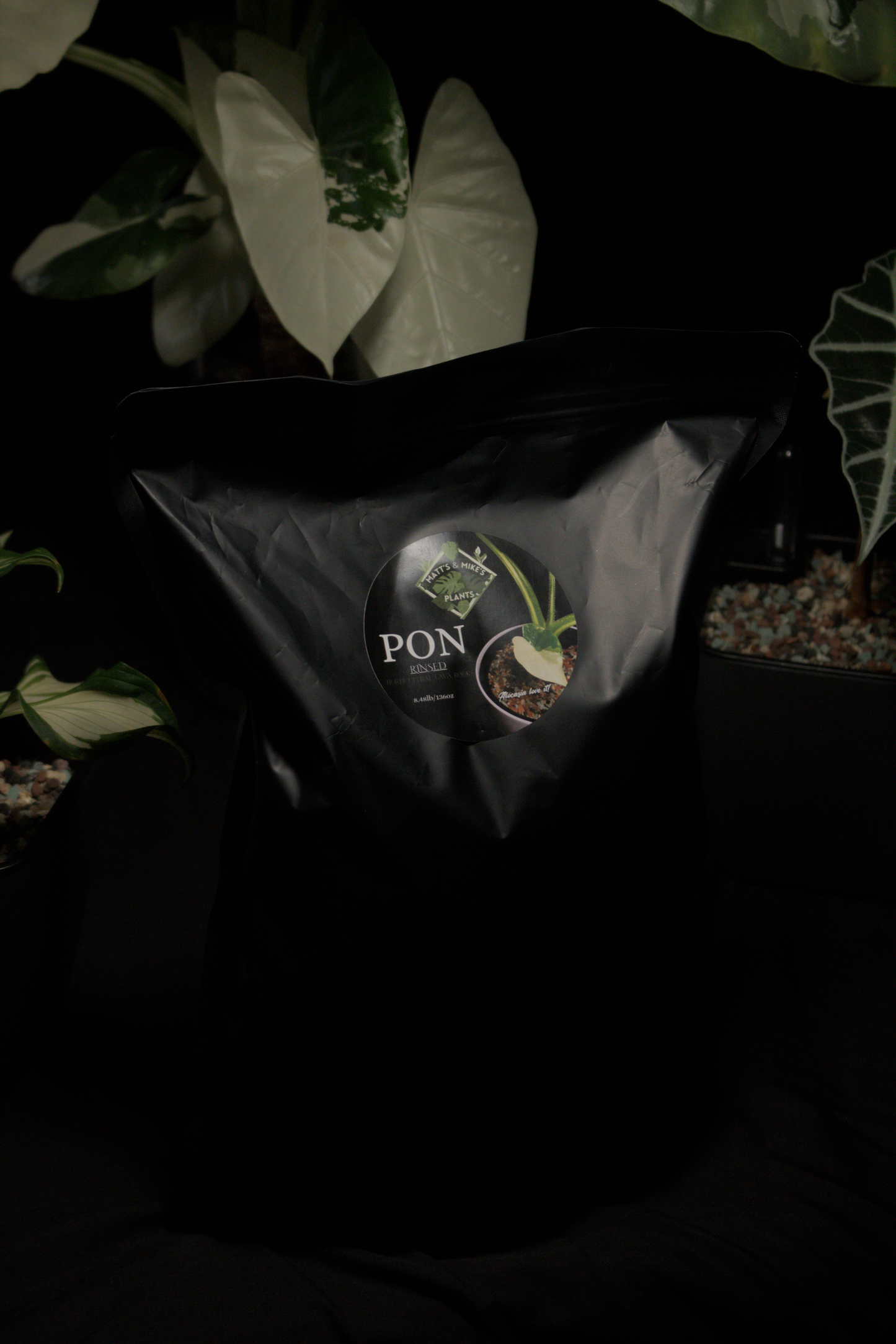 PON for Houseplants in Semi-Hydro 8.48lb/136oz - Prerinsed Horticultural Lava Rocks