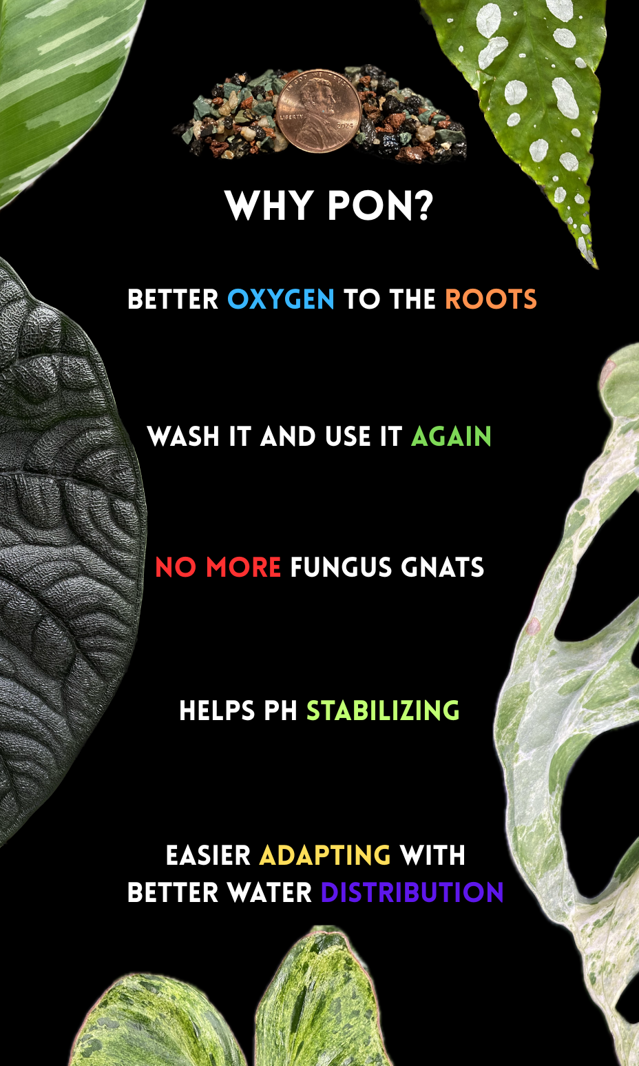 PON for Houseplants in Semi-Hydro 7.25lb/116oz - Horticultural Lava Rocks