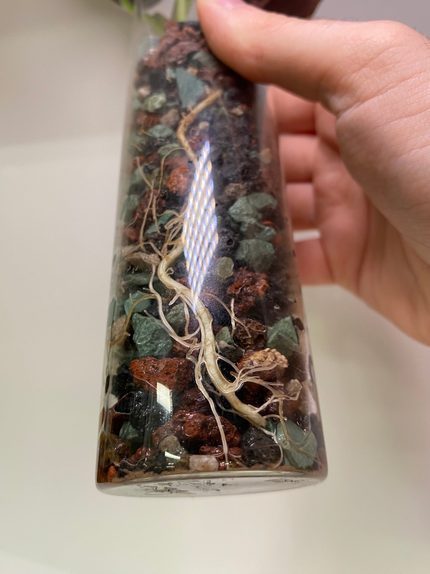 PON for Houseplants in Semi-Hydro 7.25lb/116oz - Horticultural Lava Rocks