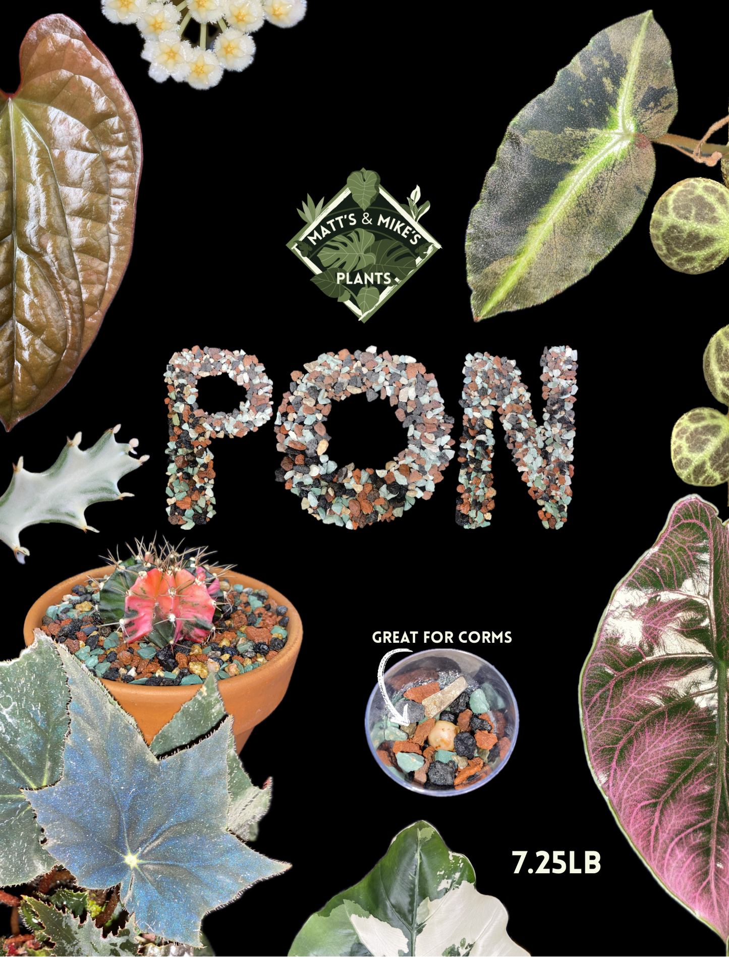 PON for Houseplants in Semi-Hydro 7.25lb/116oz - Horticultural Lava Rocks