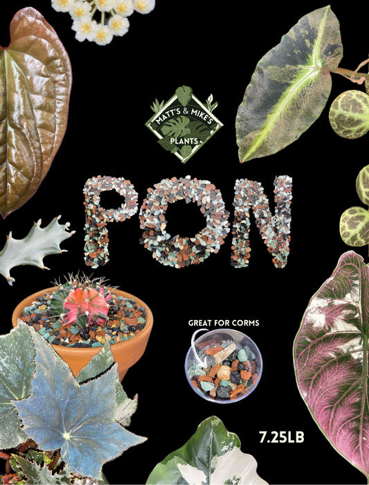 PON for Houseplants in Semi-Hydro 7.25lb/116oz - Horticultural Lava Rocks