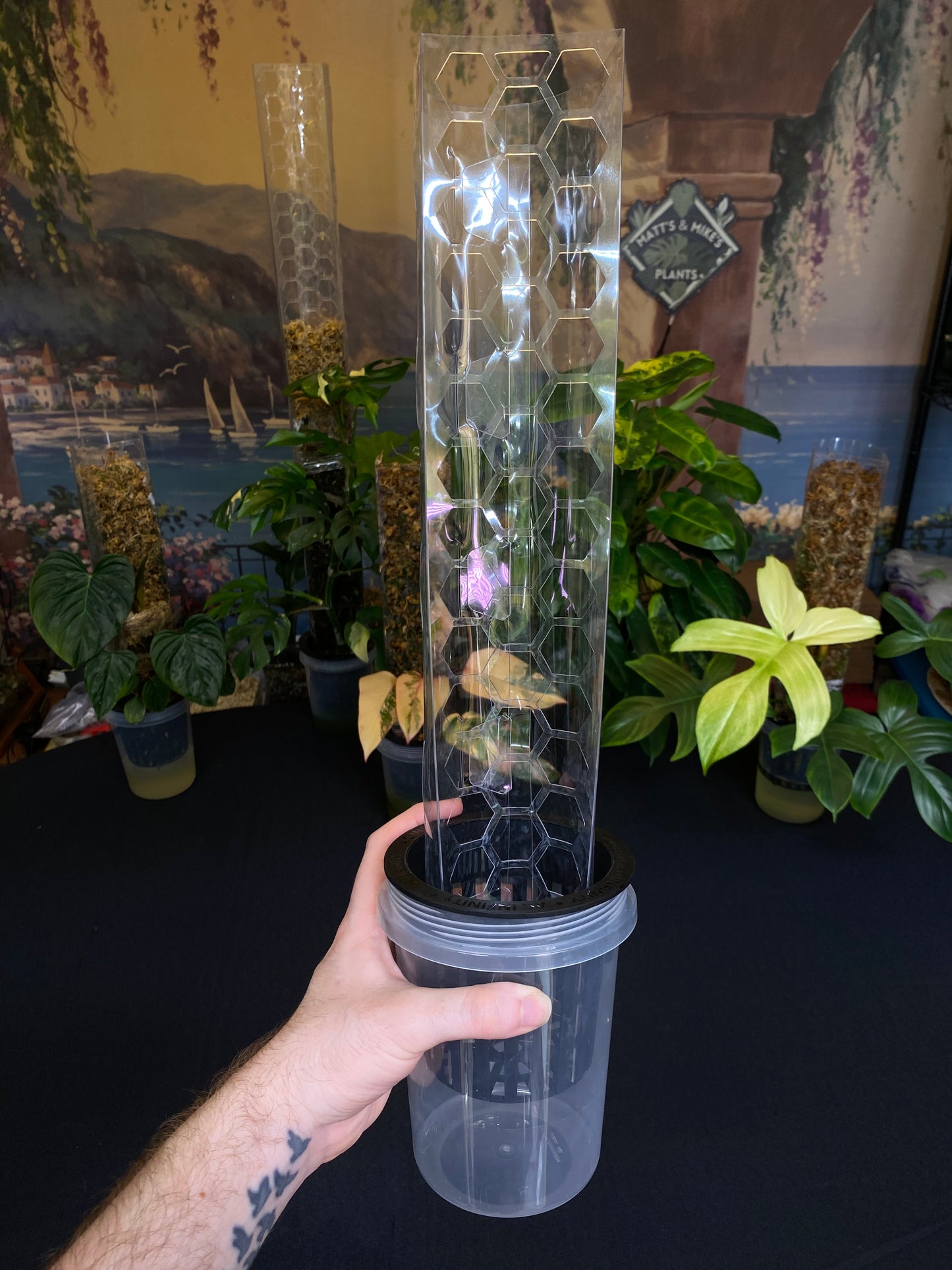 Intergrated Moss Pole & Self-Watering Cache Pot - Vertical Climbing Support for Monstera, Philodendron, and Many Other Climbing Plants!