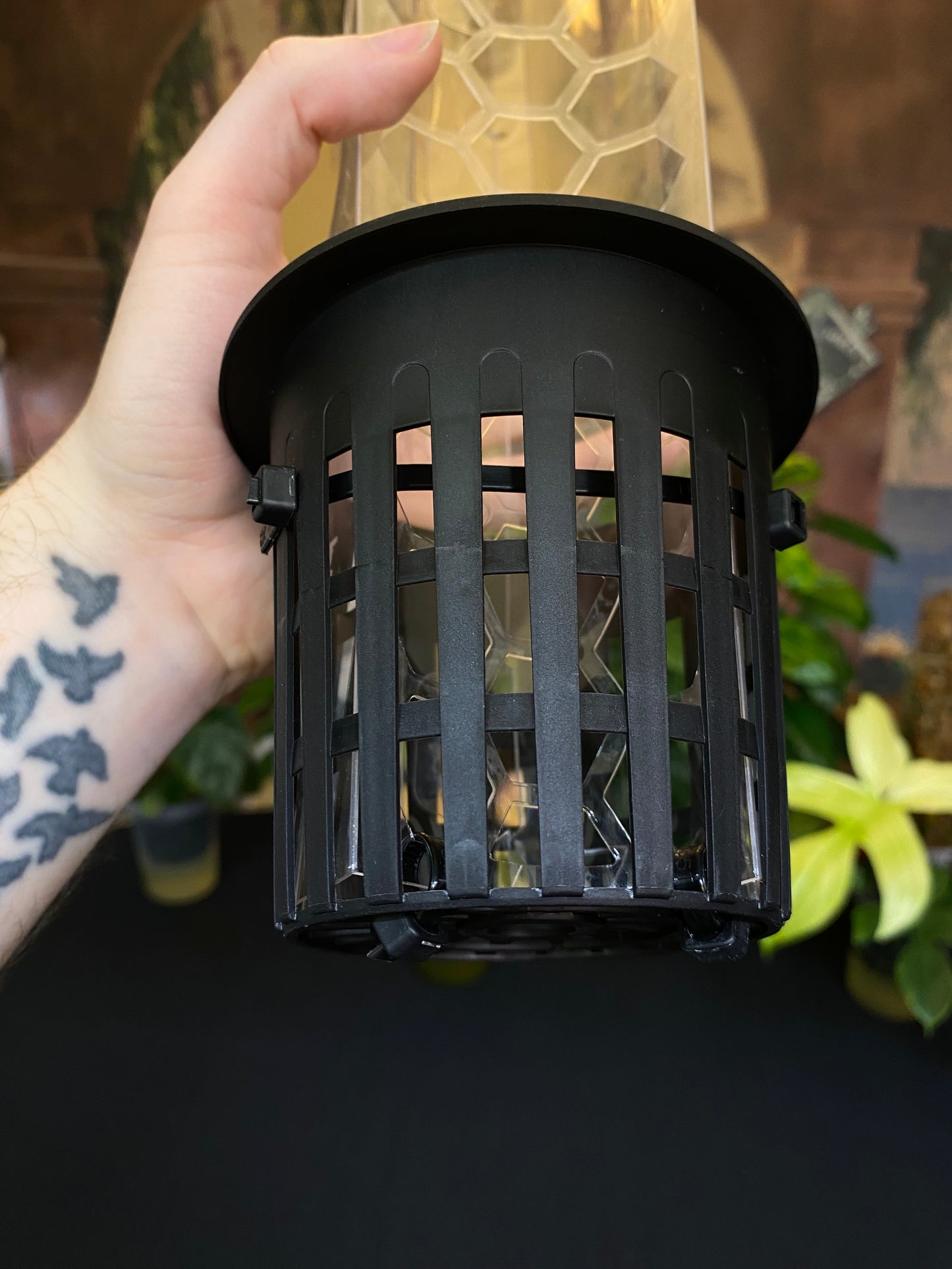 Intergrated Moss Pole & Self-Watering Cache Pot - Vertical Climbing Support for Monstera, Philodendron, and Many Other Climbing Plants!