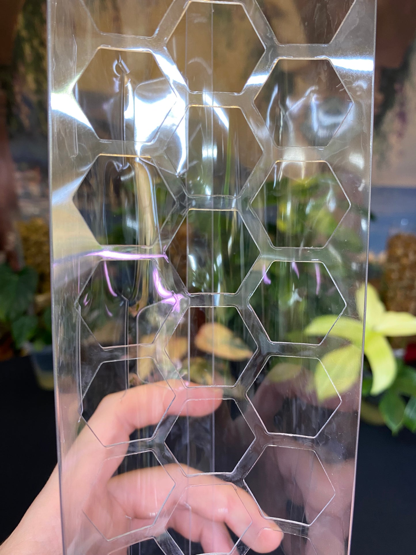 Intergrated Moss Pole & Self-Watering Cache Pot - Vertical Climbing Support for Monstera, Philodendron, and Many Other Climbing Plants!