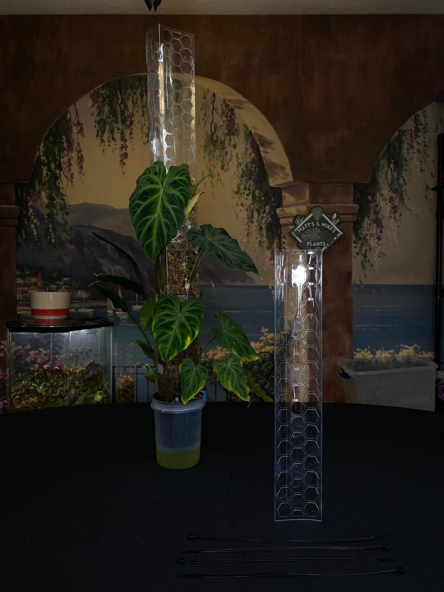 Moss Pole Extension with Zip Ties