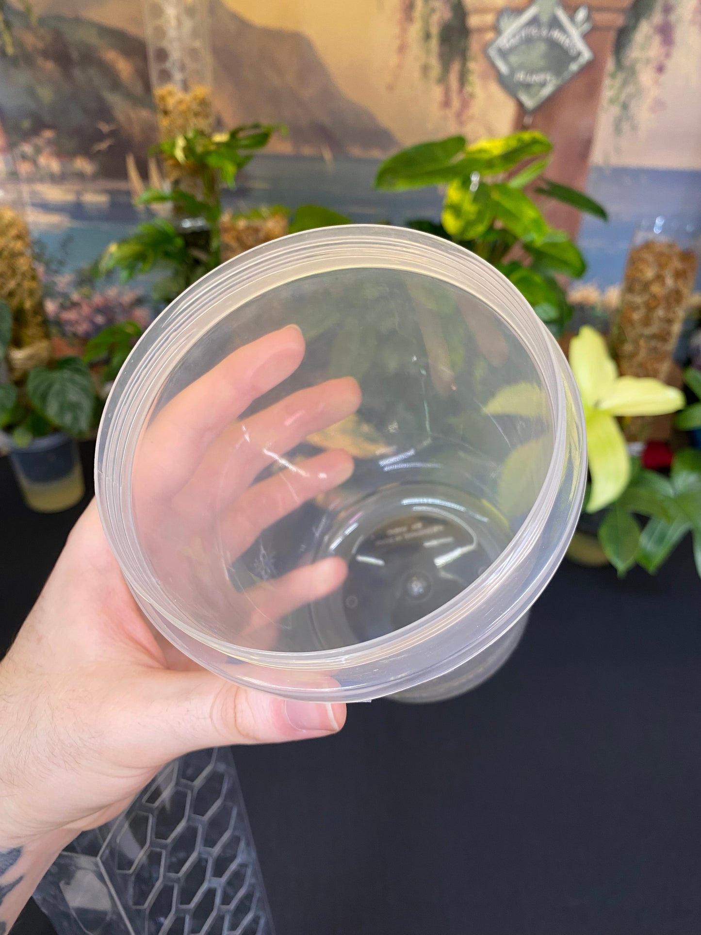 Intergrated Moss Pole & Self-Watering Cache Pot - Vertical Climbing Support for Monstera, Philodendron, and Many Other Climbing Plants!