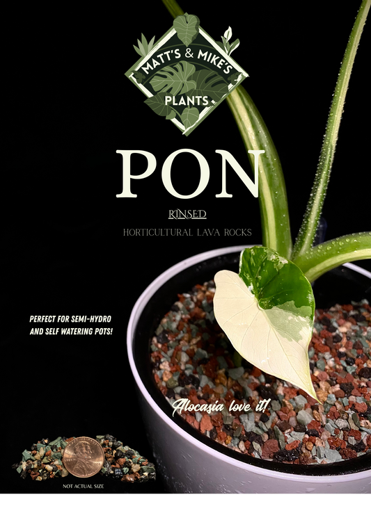 PON for Houseplants in Semi-Hydro 8.48lb/136oz - Prerinsed Horticultural Lava Rocks