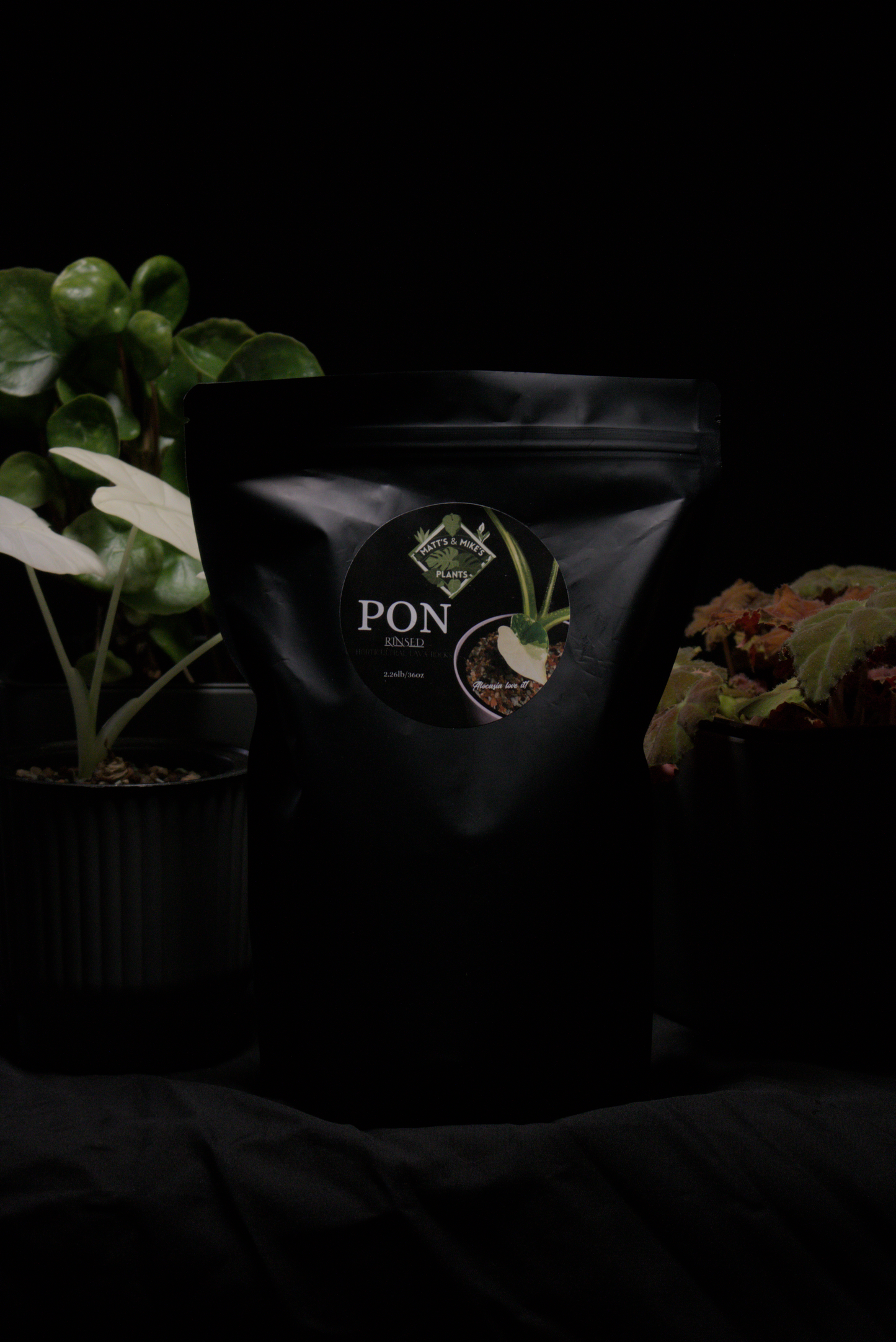 PON for Houseplants in Semi-Hydro 2.26lb/36oz - Prerinsed Horticultural Lava Rocks